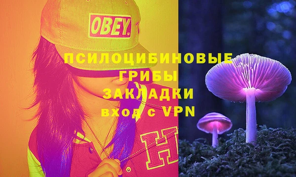 твердый Арсеньев